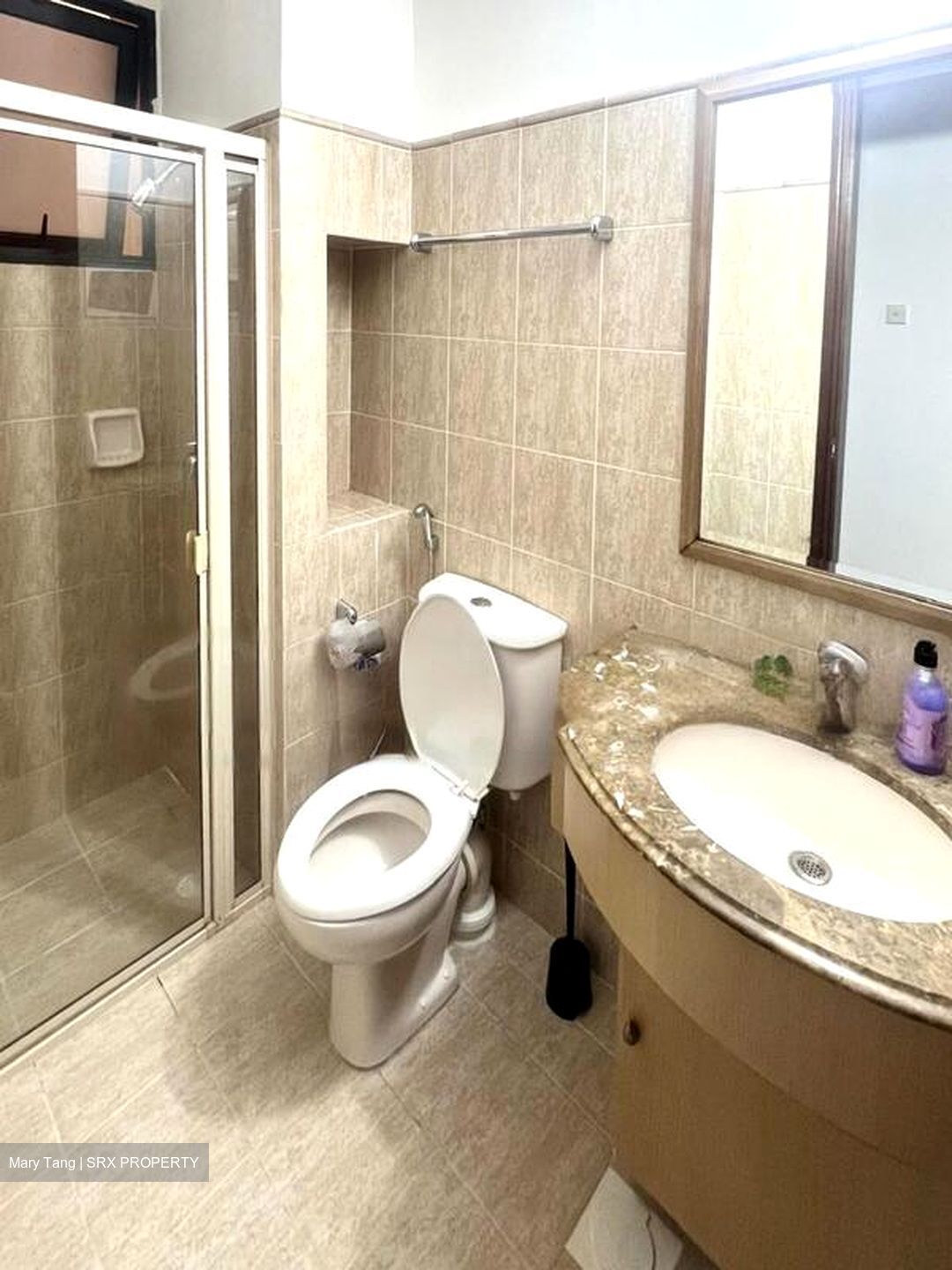 Tanglin View (D3), Condominium #472552521